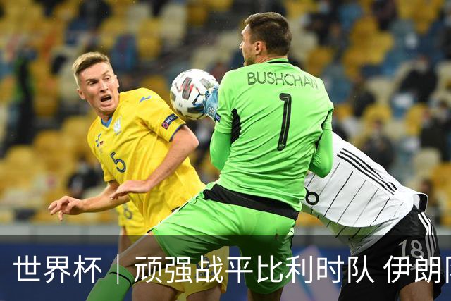 世界杯｜顽强战平比利时队 伊朗队暂居小组第一